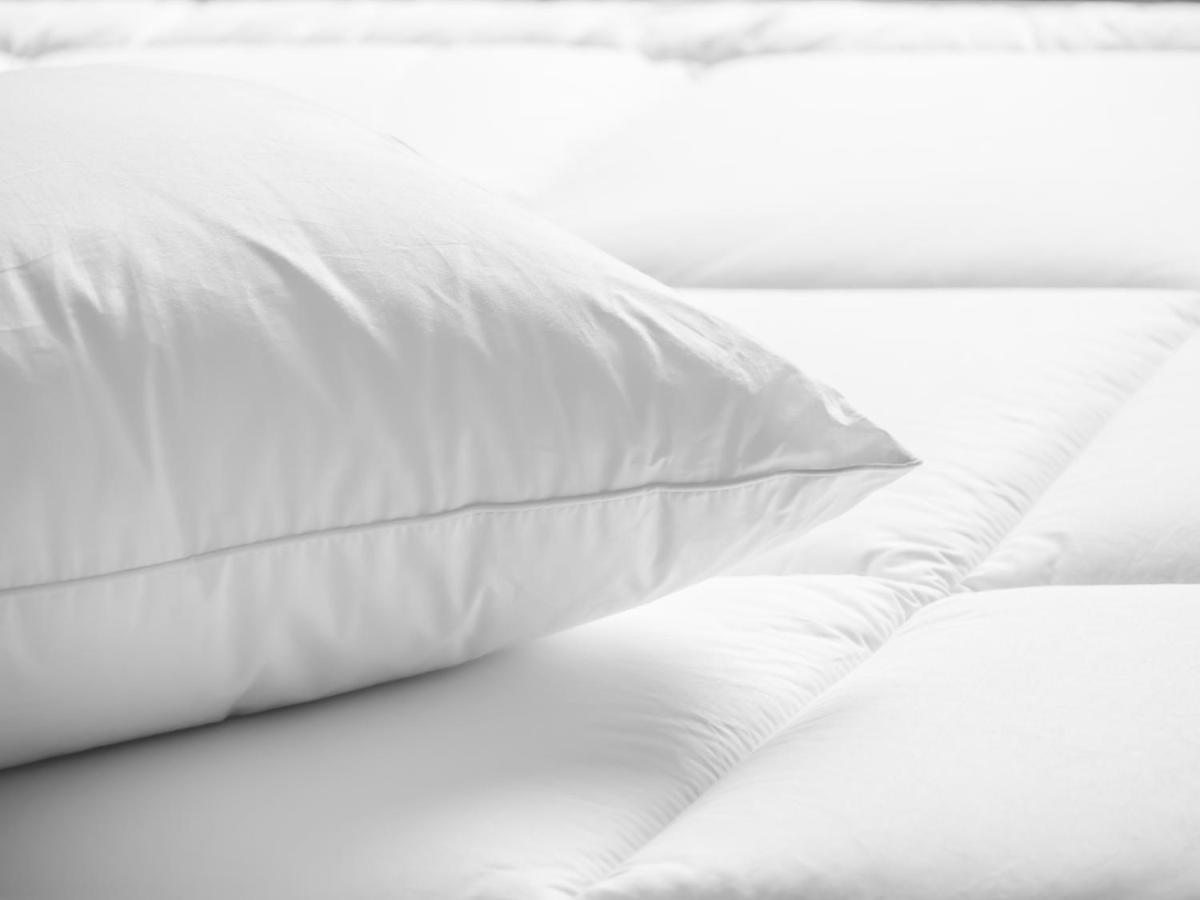 Holiday Inn Cincinnati-Riverfront By Ihg Covington Ngoại thất bức ảnh